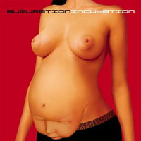 Click to Enlarge Cover